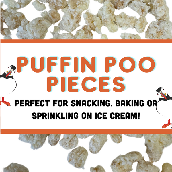 Puffin Poo Pieces!