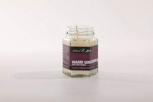 Warm Gingerbread Candle (110ml)