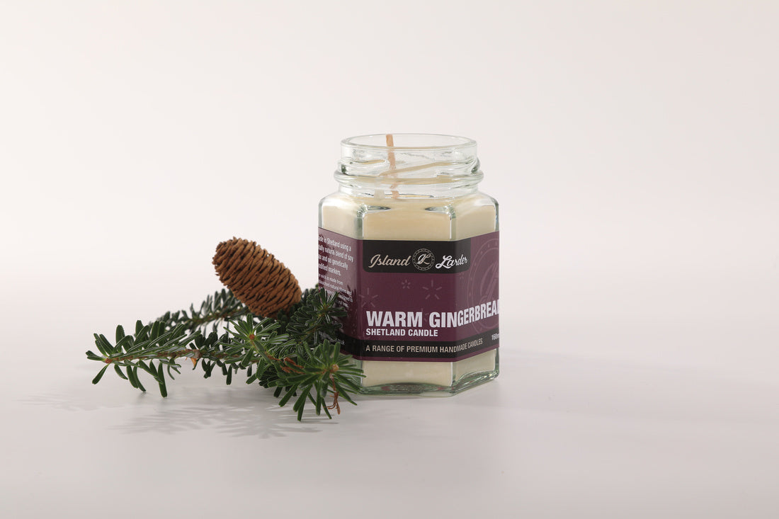 Warm Gingerbread Candle (110ml)